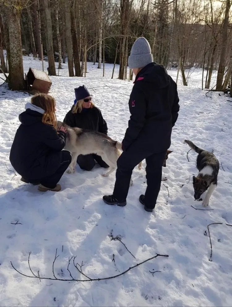 Kennel Visit