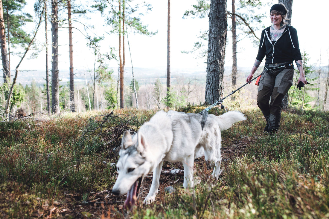 Ni missar väl inte vårat erbjudande under April