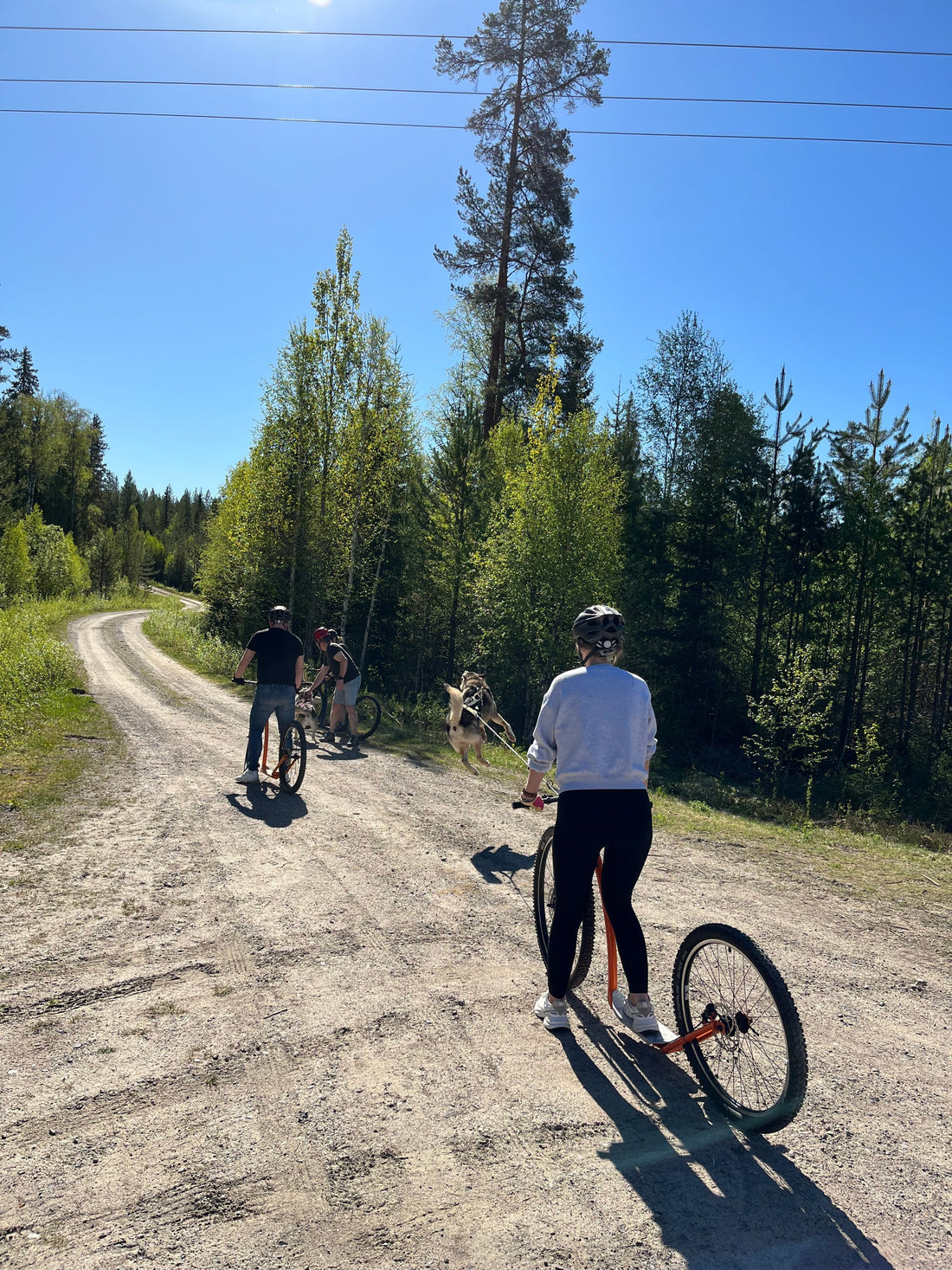 Dogscooter – ett äventyr som inte går att beskriva, bara uppleva