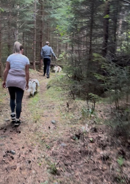 När hundarna öppnar människors hjärtan