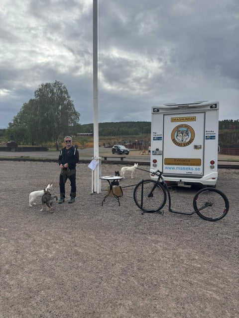 Mötesmix Dalarna 2026 En eftermiddag fylld av möten, inspiration och Siberian Huskys