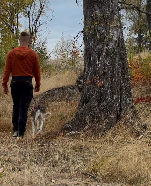 🍂 Höstfärger, Husky Hiking och tävlingshelg – en vecka full av allt vi älskar