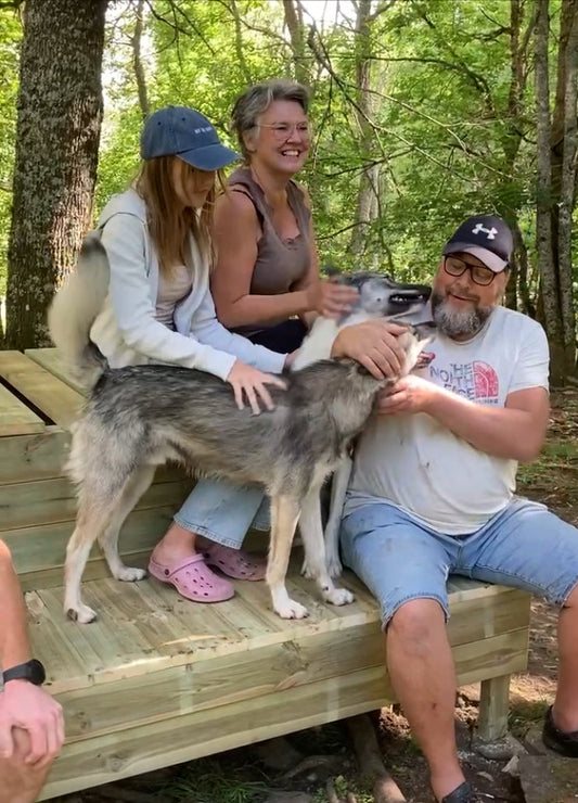 Sommarens lugn börjar i skogen – Husky Hiking, Dogscooter & Kennelbesök hos Måsek’s