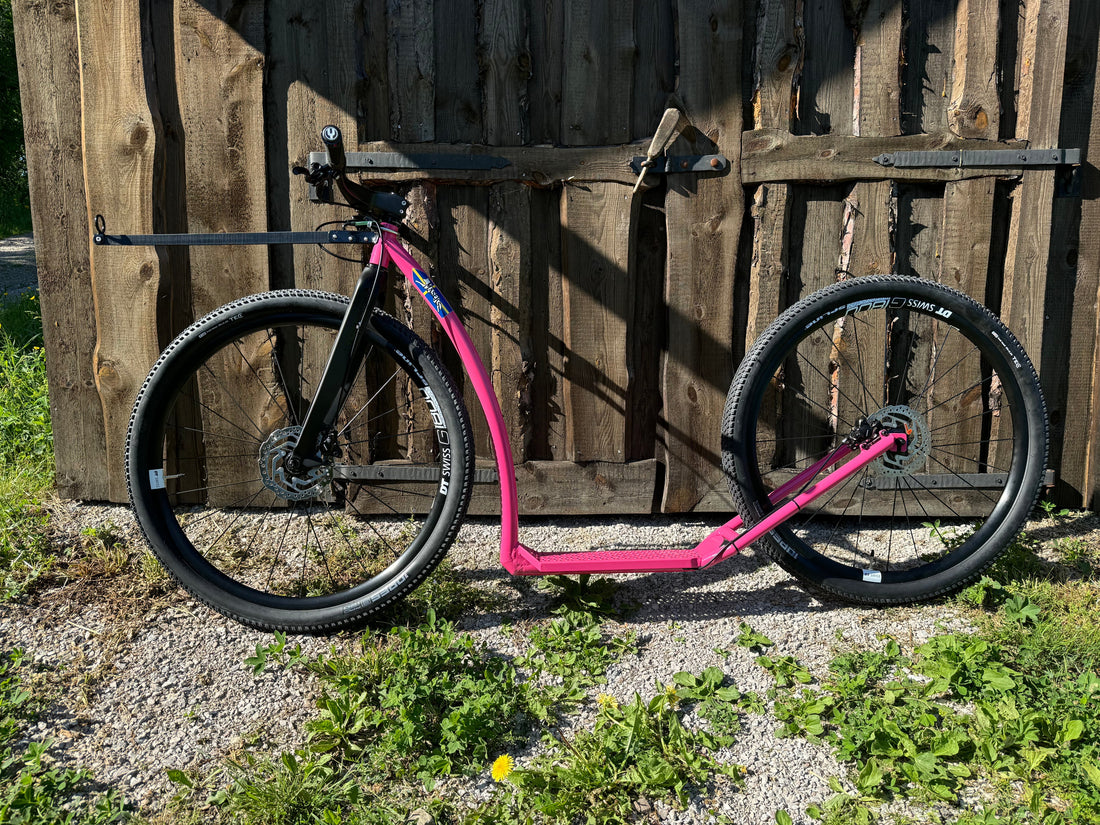 Nu börjar beställningar av Måsek´s Dogscooter trilla in så jätteroligt