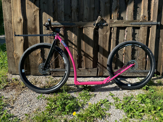 Nu börjar beställningar av Måsek´s Dogscooter trilla in så jätteroligt