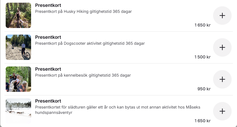 Bästa upplevelsepresenten? ett presentkort från Måsek´s hundspannsäventyr