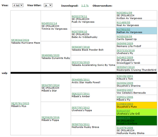 Vi väntar på löp hos oss på Måsek´´s
