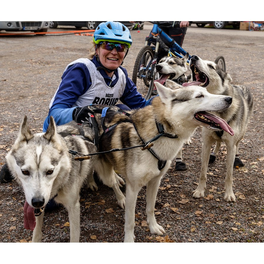 Ni vet väl att ni kan boka mig som föreläsare inom Ledarskap och Teambuilding