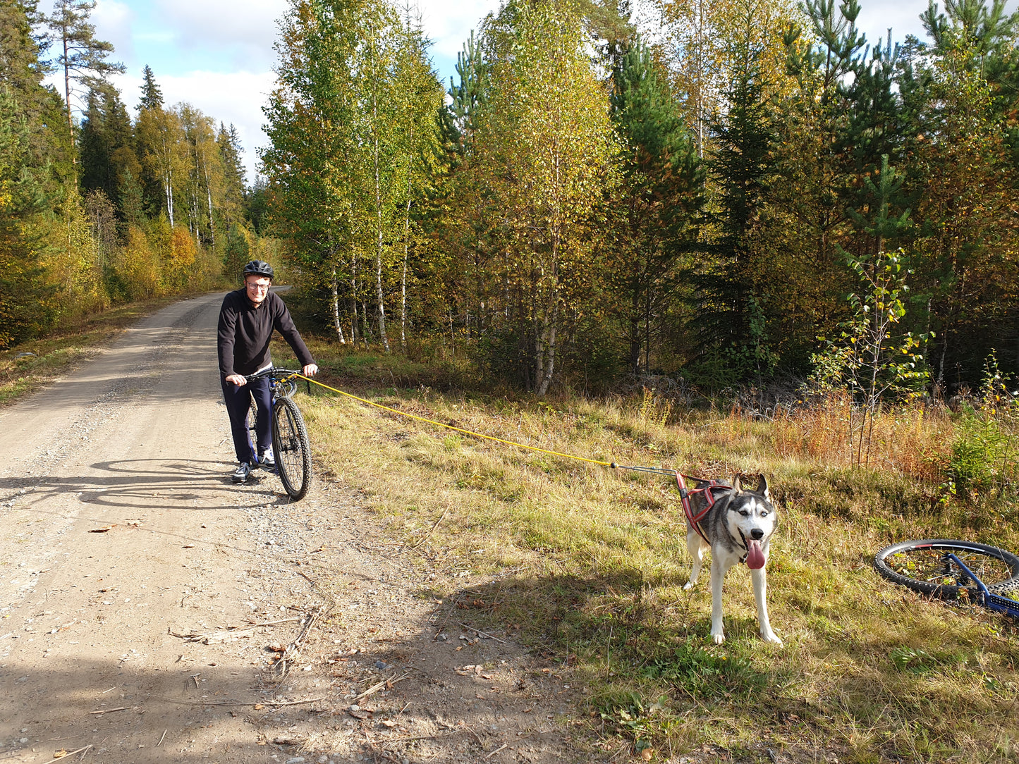 Dogscooter