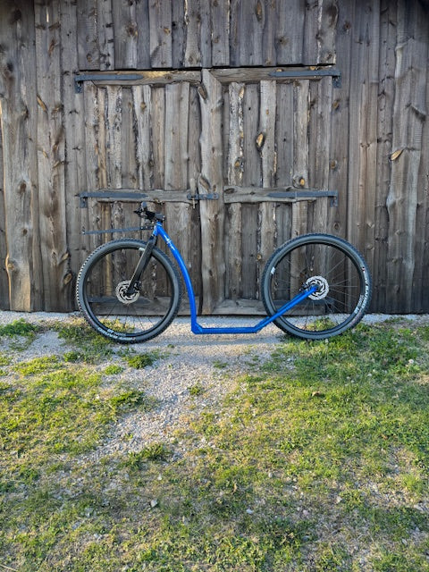 Dog Scooter