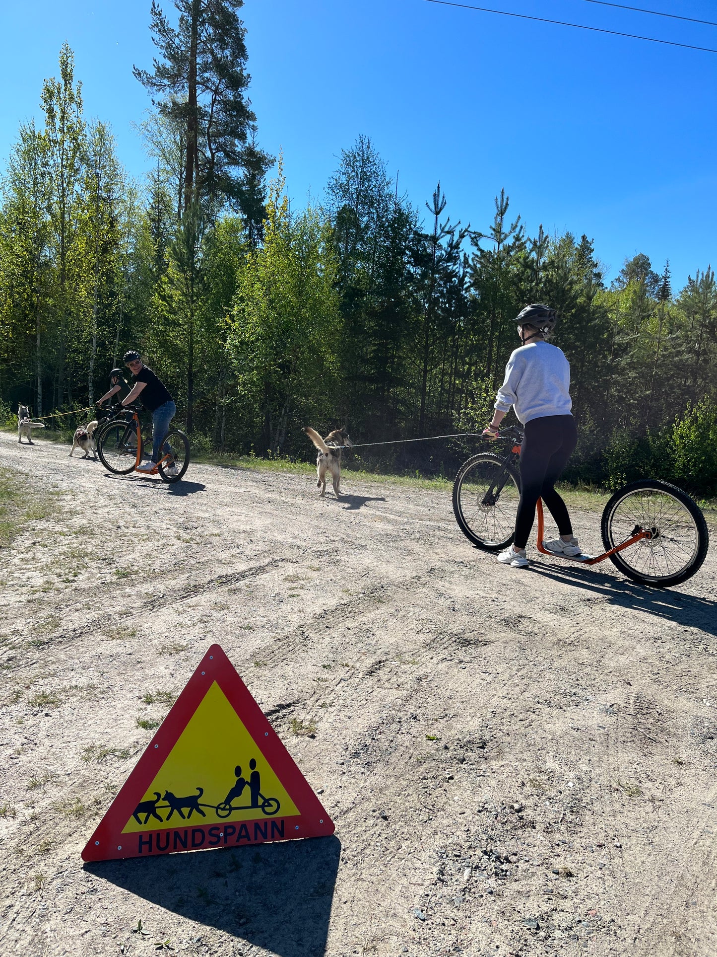 Dogscooter