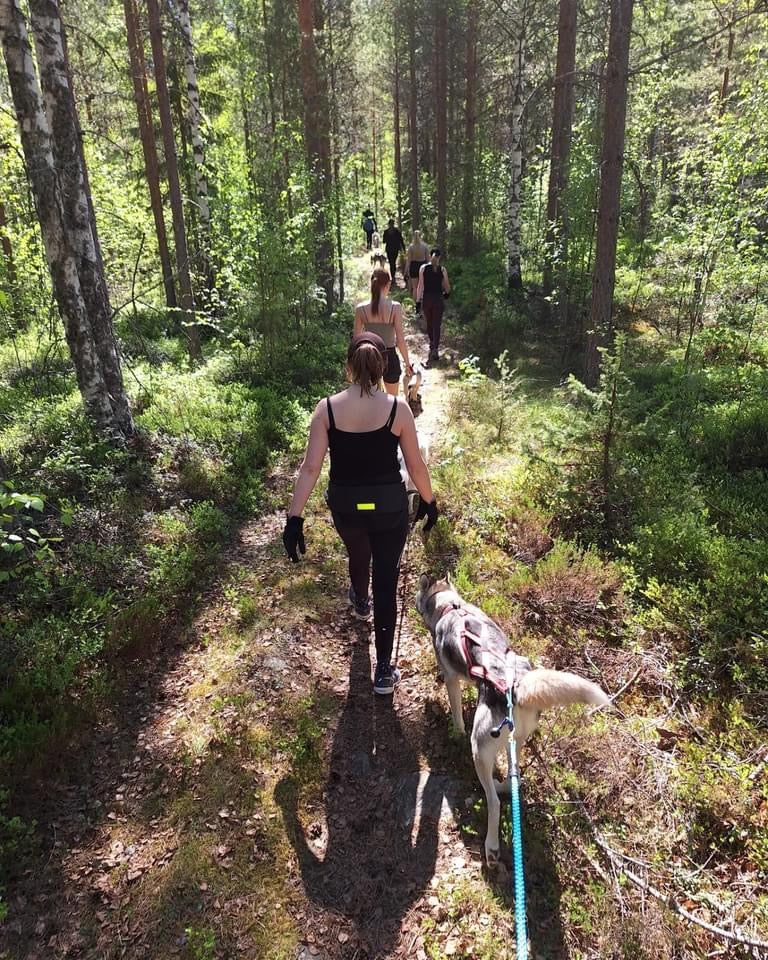 Husky Hiking