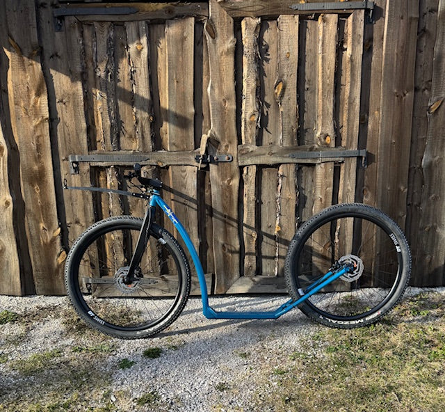 Dog Scooter