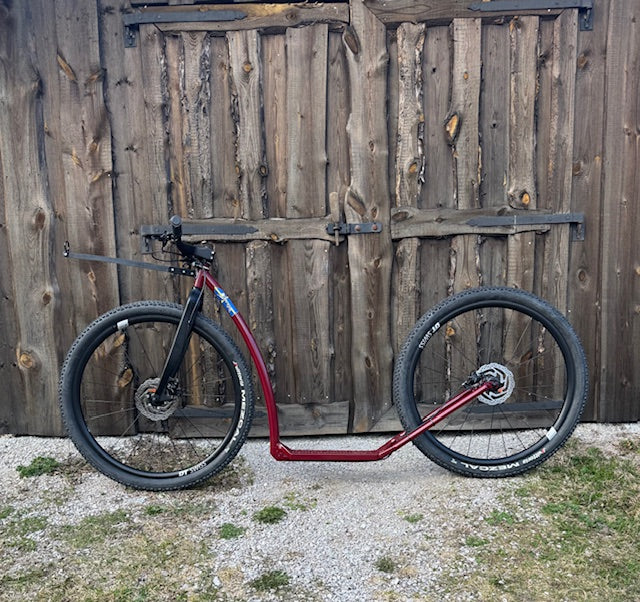 Dog Scooter