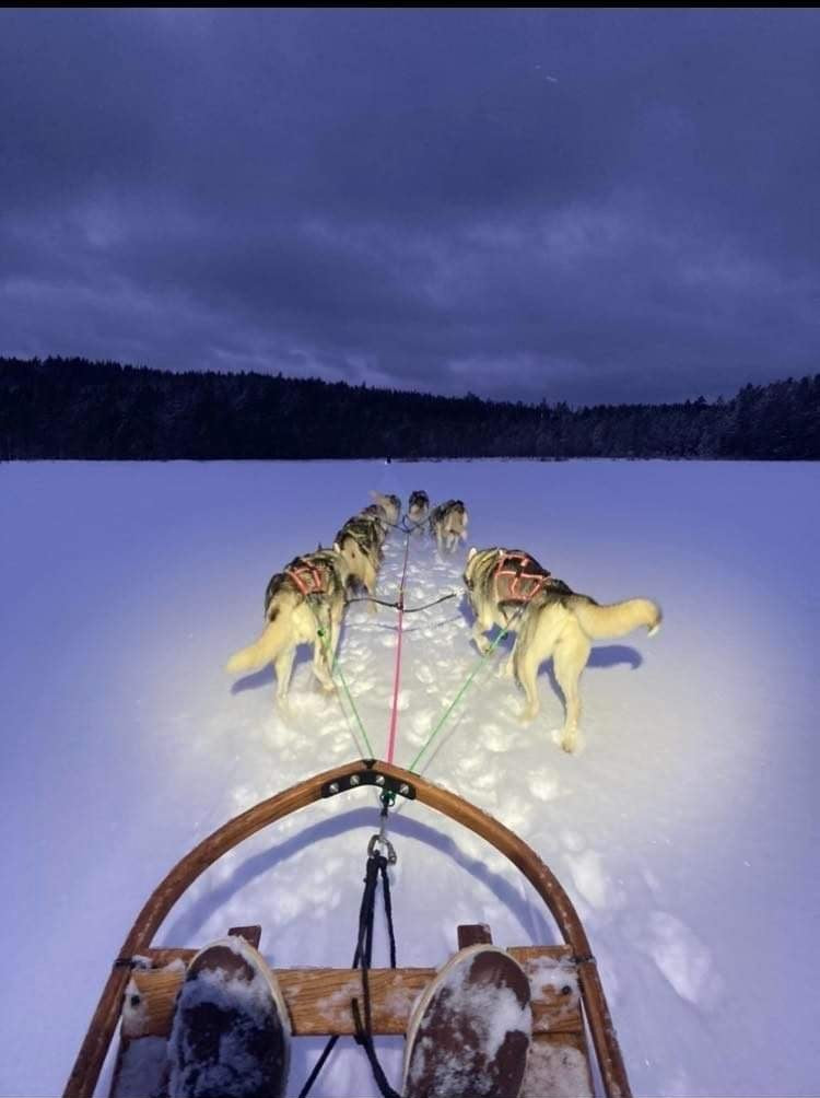 Slädhundstur på kvällen