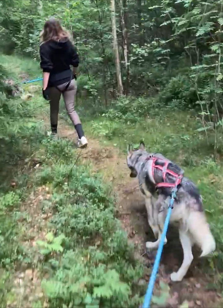 Husky Hiking